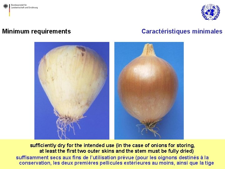 Minimum requirements Caractéristiques minimales sufficiently dry for the intended use (in the case of