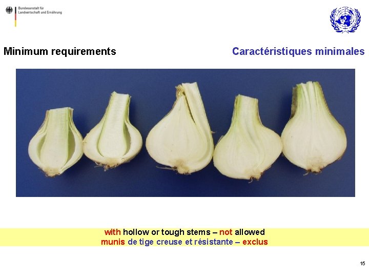 Minimum requirements Caractéristiques minimales with hollow or tough stems – not allowed munis de