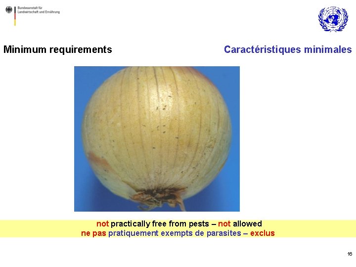 Minimum requirements Caractéristiques minimales not practically free from pests – not allowed ne pas