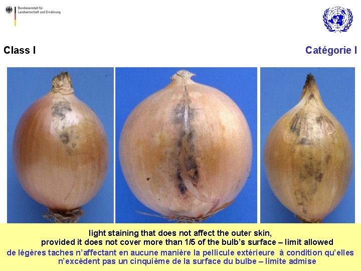 Class I Catégorie I light staining that does not affect the outer skin, provided