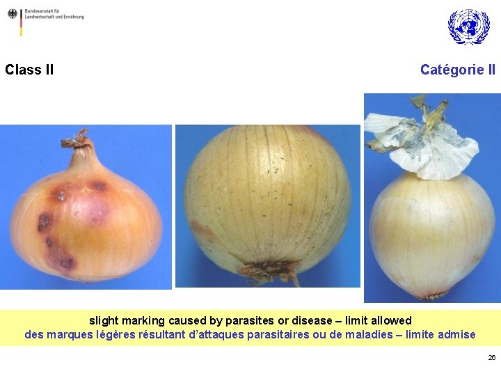 Class II Catégorie II slight marking caused by parasites or disease – limit allowed