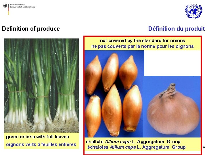 Definition of produce Définition du produit not covered by the standard for onions ne