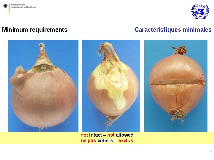 Minimum requirements Caractéristiques minimales not intact – not allowed ne pas entiers – exclus