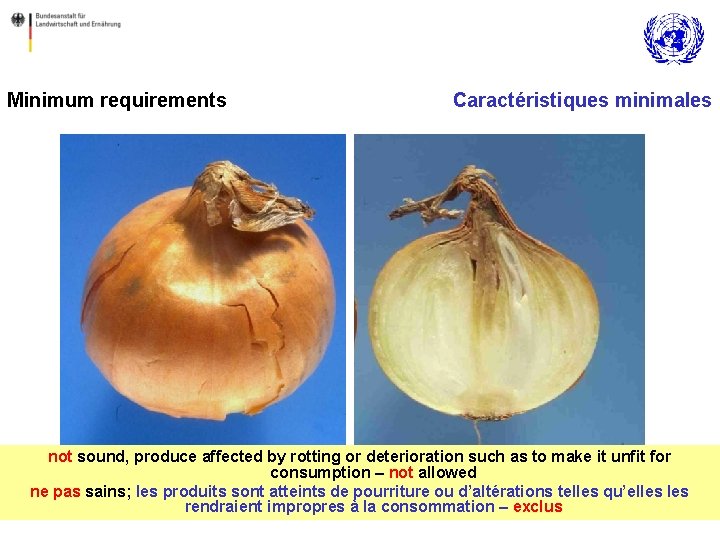 Minimum requirements Caractéristiques minimales not sound, produce affected by rotting or deterioration such as