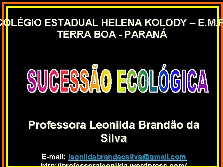 COLÉGIO ESTADUAL HELENA KOLODY – E. M. P TERRA BOA - PARANÁ Professora Leonilda