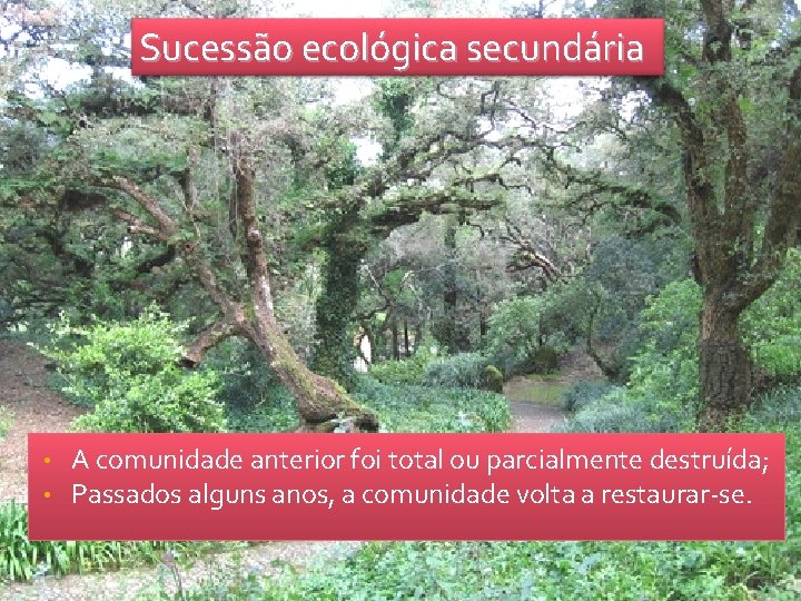 Sucessão ecológica secundária • • A comunidade anterior foi total ou parcialmente destruída; Passados