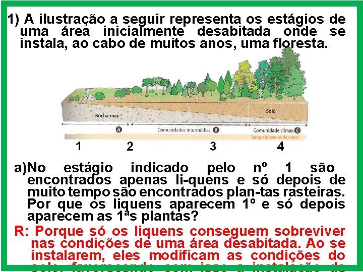 1) A ilustração a seguir representa os estágios de uma área inicialmente desabitada onde