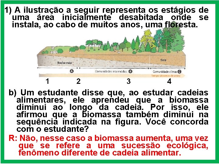 1) A ilustração a seguir representa os estágios de uma área inicialmente desabitada onde