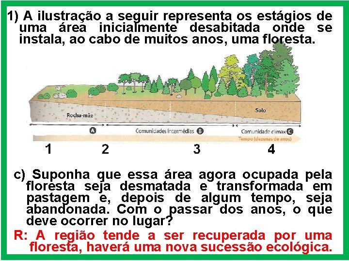 1) A ilustração a seguir representa os estágios de uma área inicialmente desabitada onde