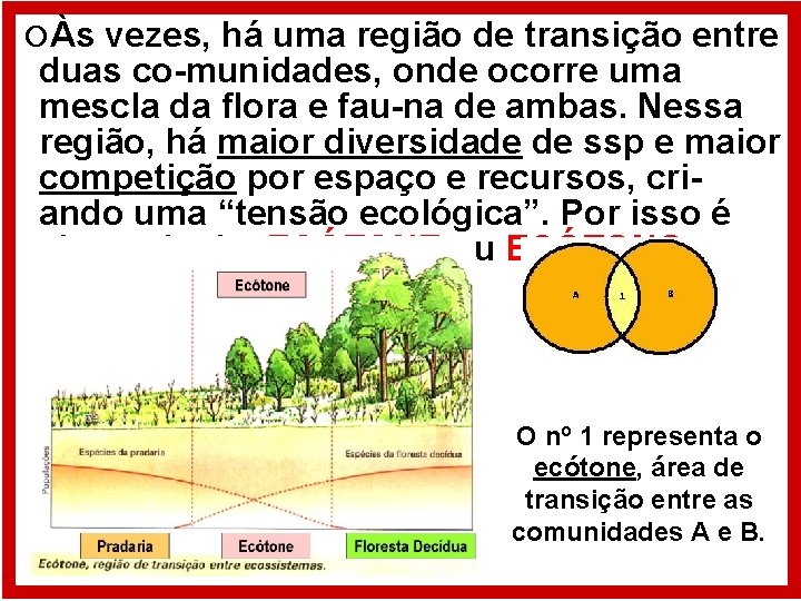  Às vezes, há uma região de transição entre duas co-munidades, onde ocorre uma