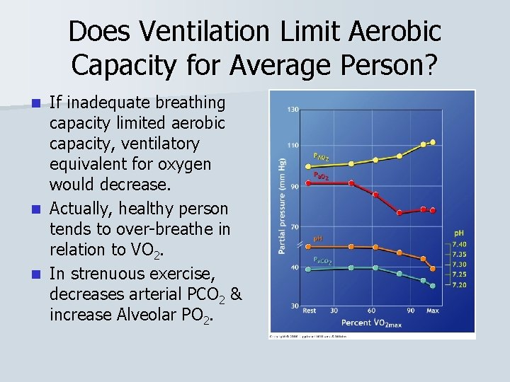 Does Ventilation Limit Aerobic Capacity for Average Person? n n n If inadequate breathing