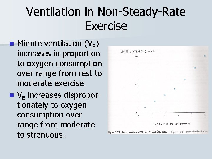 Ventilation in Non-Steady-Rate Exercise Minute ventilation (VE) increases in proportion to oxygen consumption over