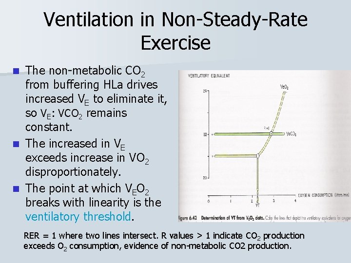 Ventilation in Non-Steady-Rate Exercise n n n The non-metabolic CO 2 from buffering HLa