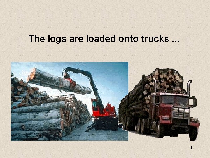 The logs are loaded onto trucks. . . 4 