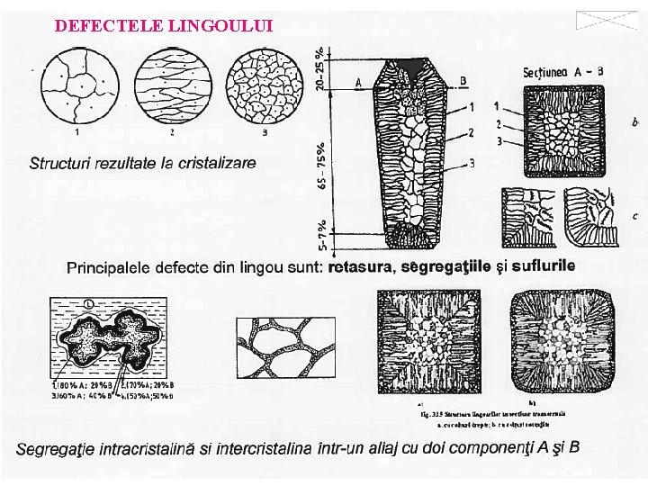 DEFECTELE LINGOULUI 