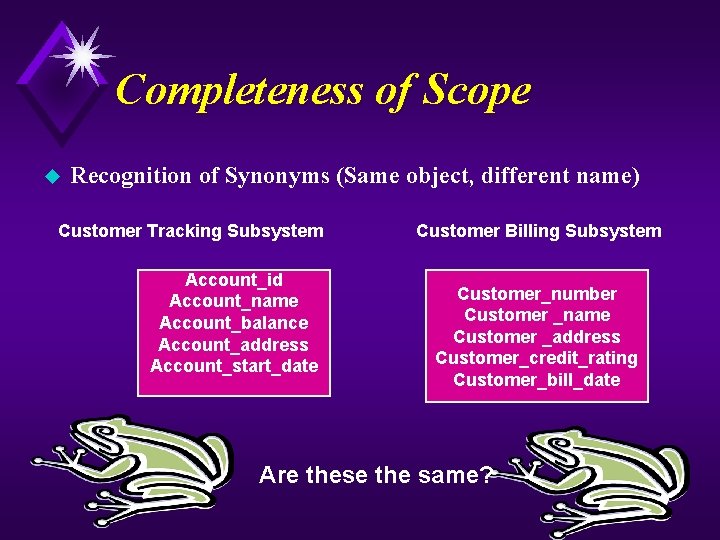 Completeness of Scope u Recognition of Synonyms (Same object, different name) Customer Tracking Subsystem