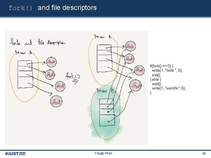 fork() and file descriptors if(fork() == 0) { write(1, “hello “, 6); exit(); }