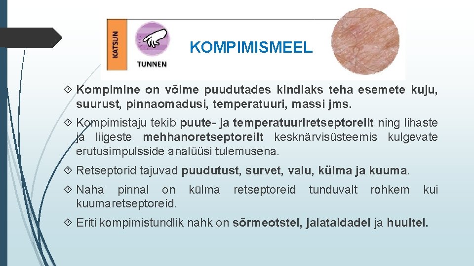 KOMPIMISMEEL Kompimine on võime puudutades kindlaks teha esemete kuju, suurust, pinnaomadusi, temperatuuri, massi jms.