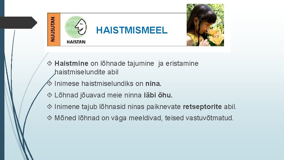 HAISTMISMEEL Haistmine on lõhnade tajumine ja eristamine haistmiselundite abil Inimese haistmiselundiks on nina. Lõhnad