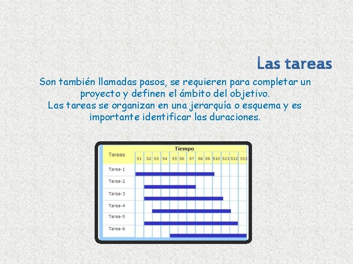 Son también llamadas pasos, se requieren para completar un proyecto y definen el ámbito