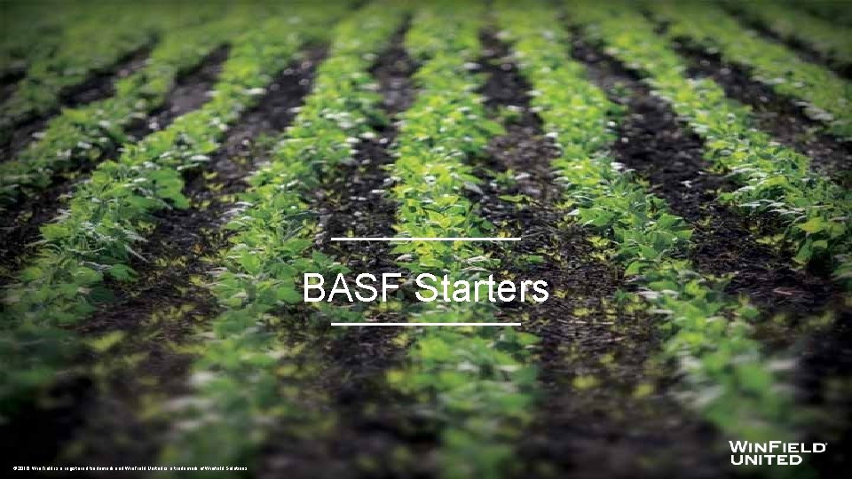 BASF Starters © 2016. Win. Field is a registered trademark and Win. Field United