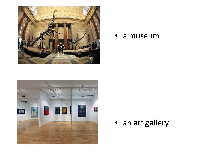  • a museum • an art gallery 