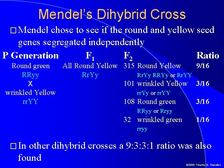 Mendel’s Dihybrid Cross � Mendel chose to see if the round and yellow seed