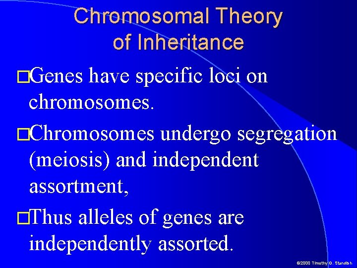 Chromosomal Theory of Inheritance �Genes have specific loci on chromosomes. �Chromosomes undergo segregation (meiosis)