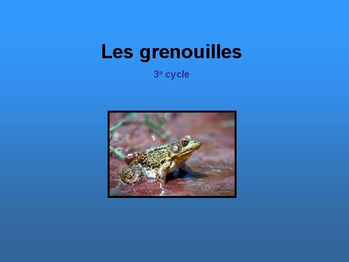 Les grenouilles 3 e cycle 