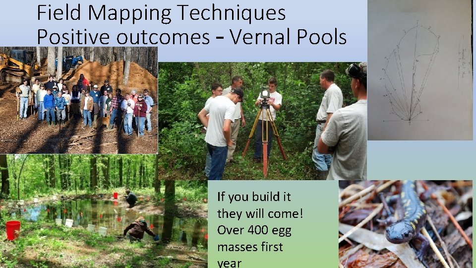 Field Mapping Techniques Positive outcomes – Vernal Pools If you build it they will Field Mapping Techniques Positive outcomes – Vernal Pools If you build it they will