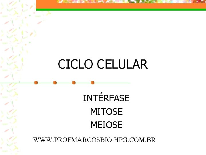 CICLO CELULAR INTÉRFASE MITOSE MEIOSE WWW. PROFMARCOSBIO. HPG. COM. BR 