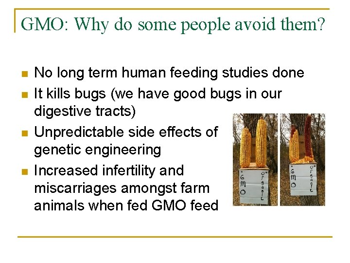 GMO: Why do some people avoid them? n n No long term human feeding