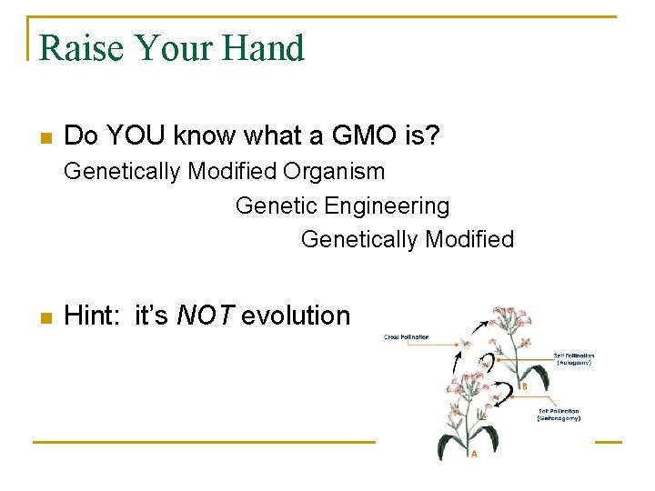 Raise Your Hand n Do YOU know what a GMO is? Genetically Modified Organism