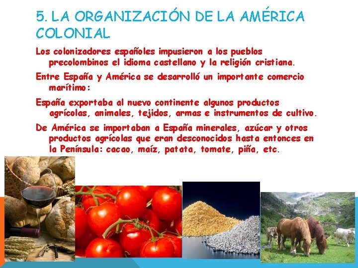 5. LA ORGANIZACIÓN DE LA AMÉRICA COLONIAL Los colonizadores españoles impusieron a los pueblos 5. LA ORGANIZACIÓN DE LA AMÉRICA COLONIAL Los colonizadores españoles impusieron a los pueblos