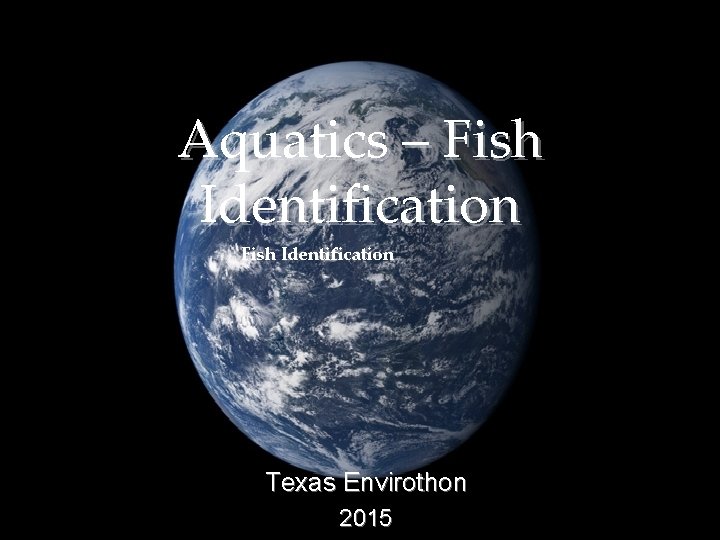 Aquatics – Fish Identification Texas Envirothon 2015 