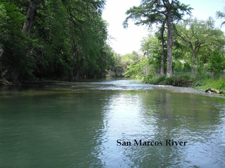 San Marcos River 