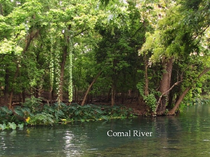 Comal River 