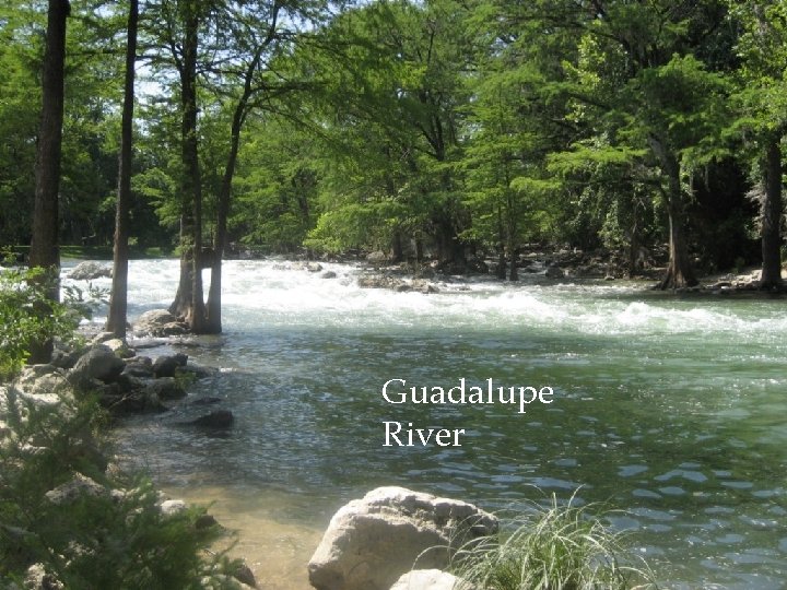 Guadalupe River 