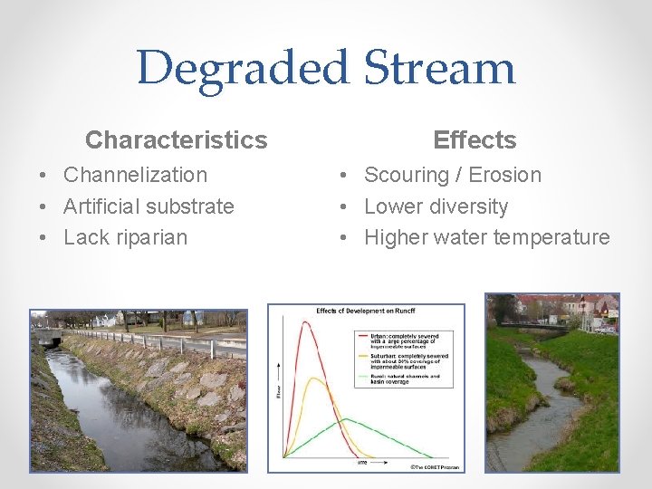 Degraded Stream Characteristics • Channelization • Artificial substrate • Lack riparian Effects • Scouring
