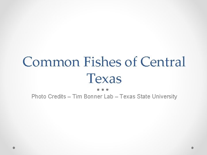 Common Fishes of Central Texas Photo Credits – Tim Bonner Lab – Texas State