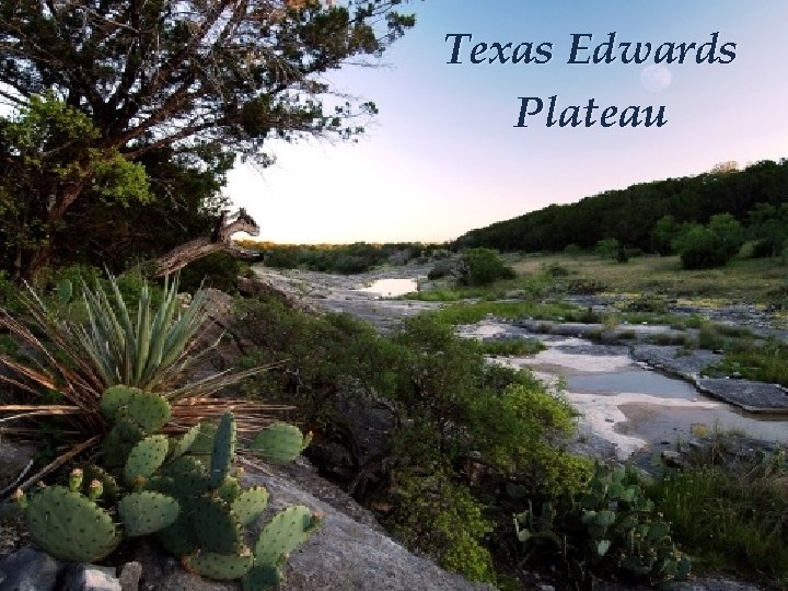 Texas Edwards Plateau 