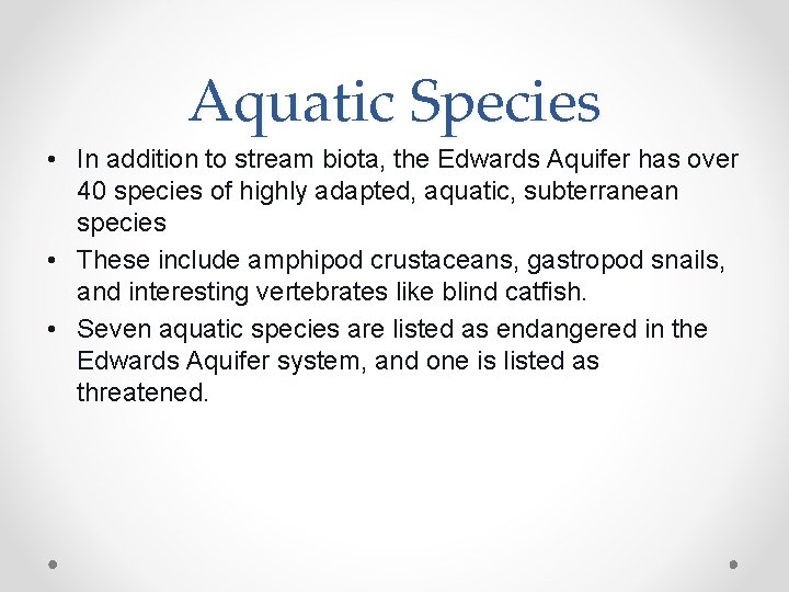 Aquatic Species • In addition to stream biota, the Edwards Aquifer has over 40