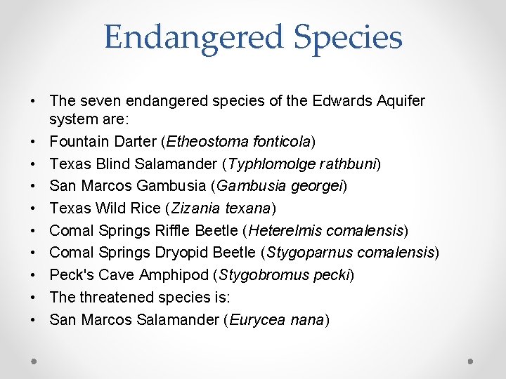 Endangered Species • The seven endangered species of the Edwards Aquifer system are: •