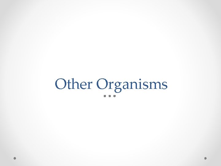 Other Organisms 