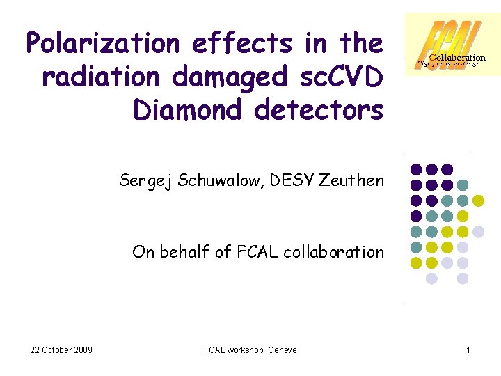 Polarization effects in the radiation damaged sc. CVD Diamond detectors Sergej Schuwalow, DESY Zeuthen