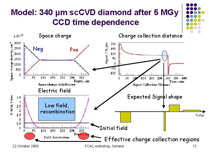 Model: 340 μm sc. CVD diamond after 5 MGy CCD time dependence Space charge