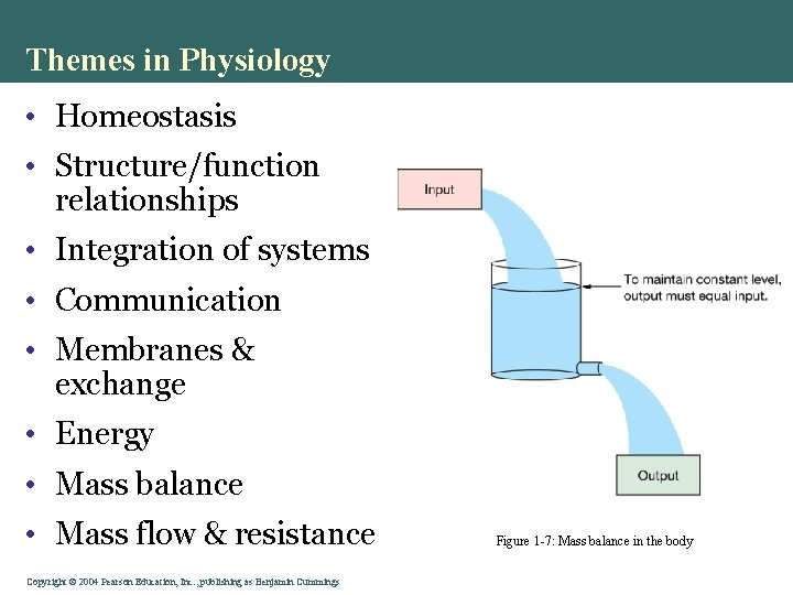 Themes in Physiology • Homeostasis • Structure/function relationships • Integration of systems • Communication