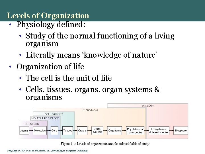 Levels of Organization • Physiology defined: • Study of the normal functioning of a