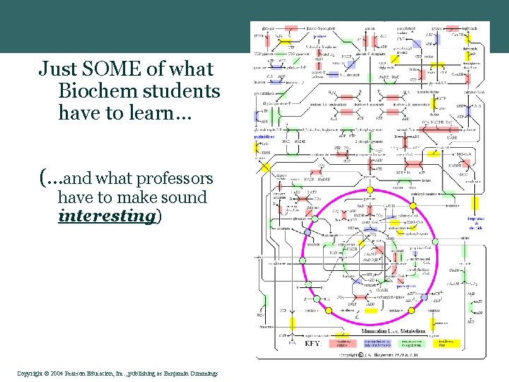 Just SOME of what Biochem students have to learn… (…and what professors have to