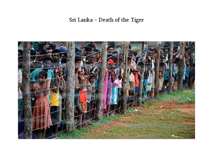 Sri Lanka – Death of the Tiger 